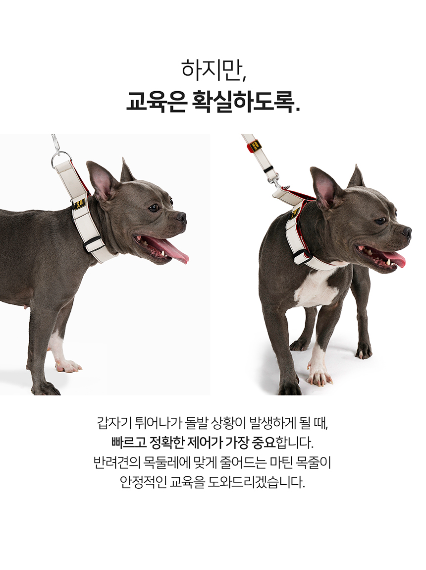 [무료배송] 니즈더펫 인터라켄 와이드 마틴 목줄 10번째