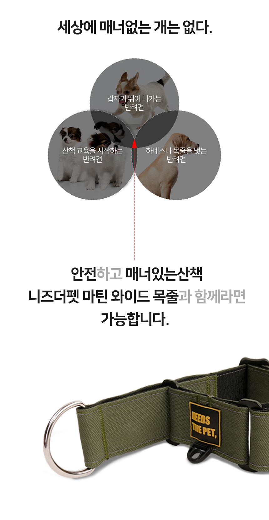 [무료배송] 니즈더펫 인터라켄 와이드 마틴 목줄 5번째