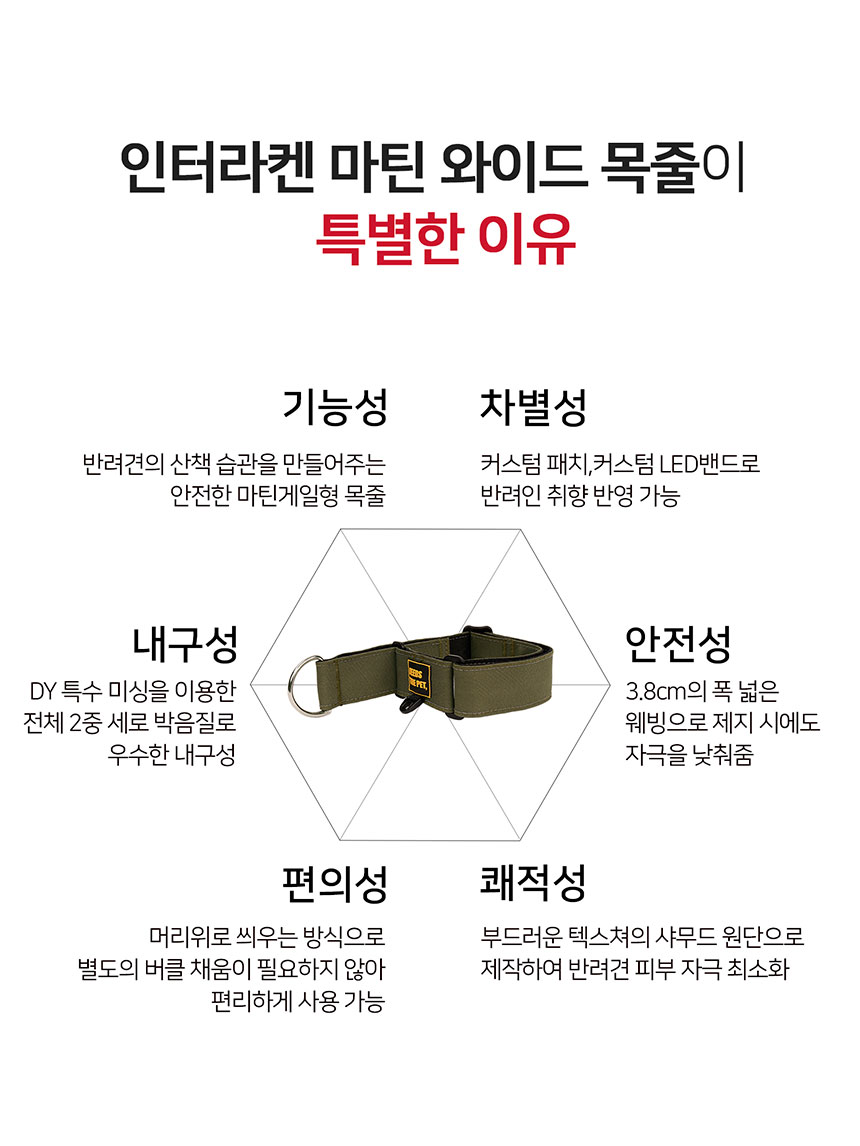 [무료배송] 니즈더펫 인터라켄 와이드 마틴 목줄 2번째