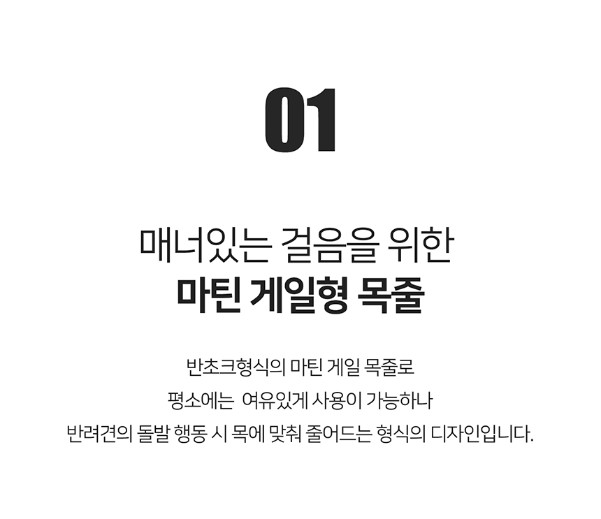 [무료배송] 니즈더펫 인터라켄 와이드 마틴 목줄 7번째