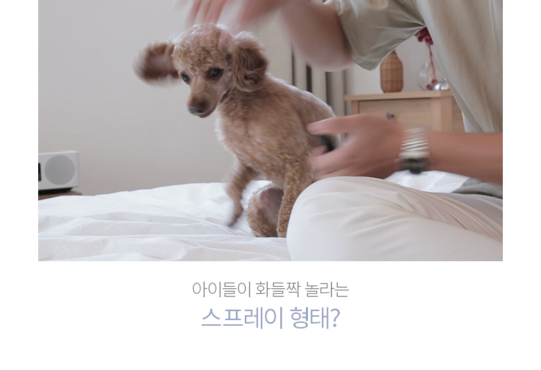[무료배송] 정글몬스터 독 덴탈워터 250ml 11번째