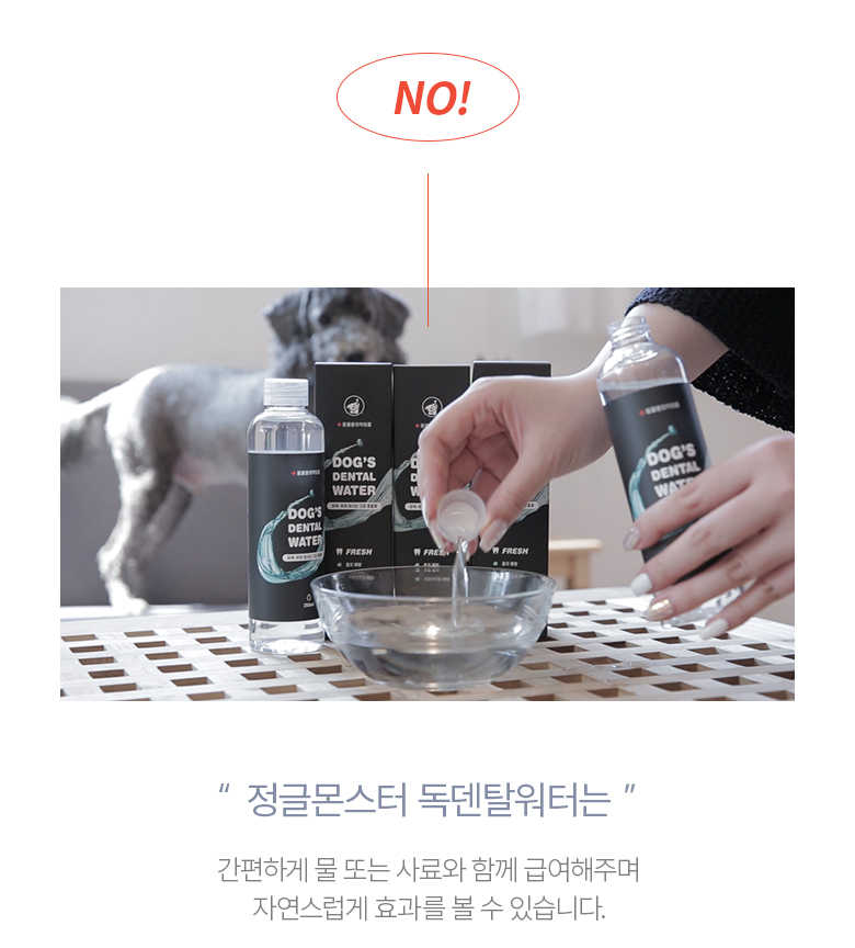 [무료배송] 정글몬스터 독 덴탈워터 250ml 12번째