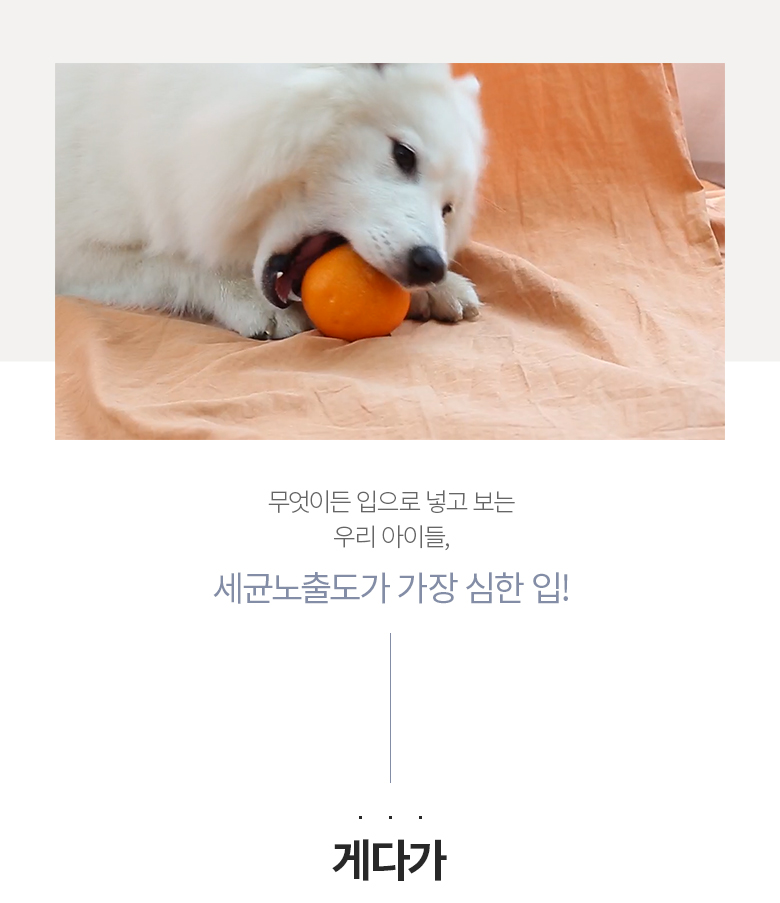 [무료배송] 정글몬스터 독 덴탈워터 250ml 6번째