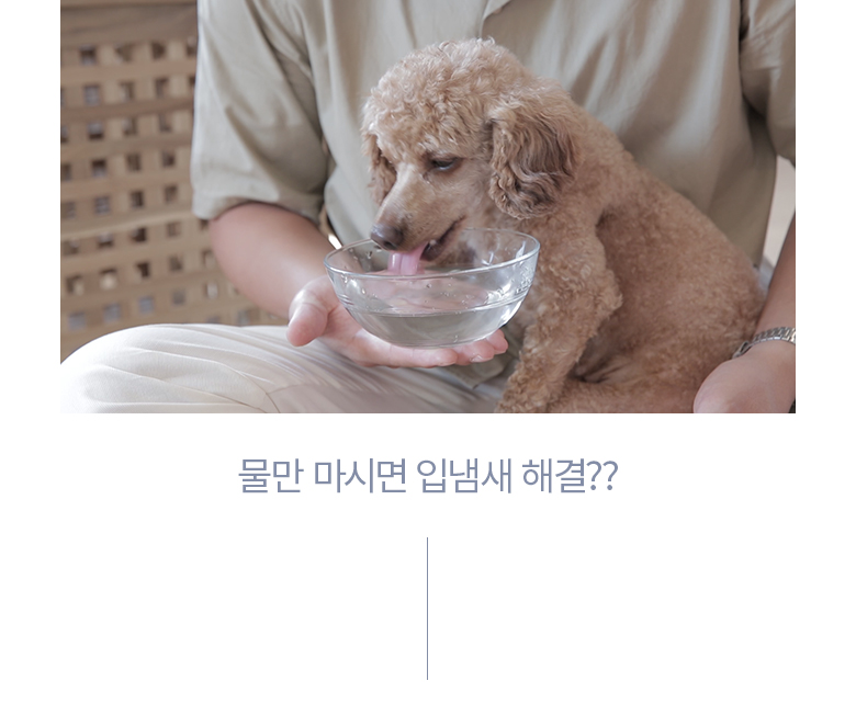 [무료배송] 정글몬스터 독 덴탈워터 250ml 4번째