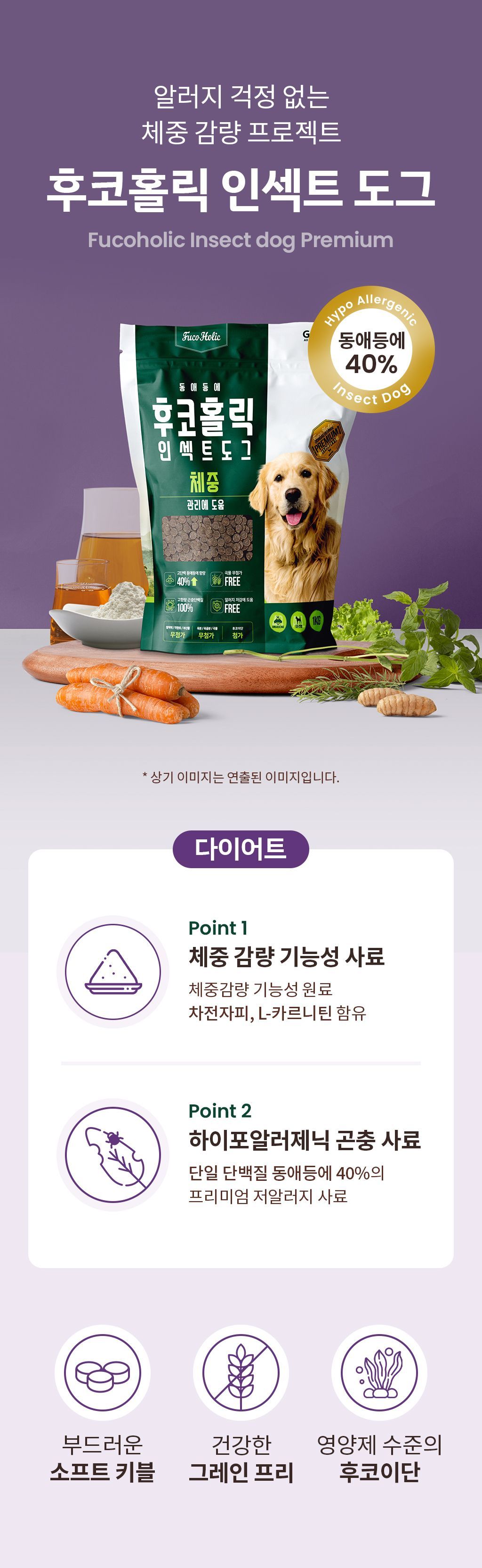 [사료샘플] 후코홀릭 인섹트도그 체중 30g 4번째