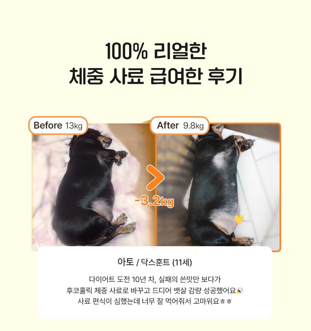[사료샘플] 후코홀릭 인섹트도그 체중 30g 2번째