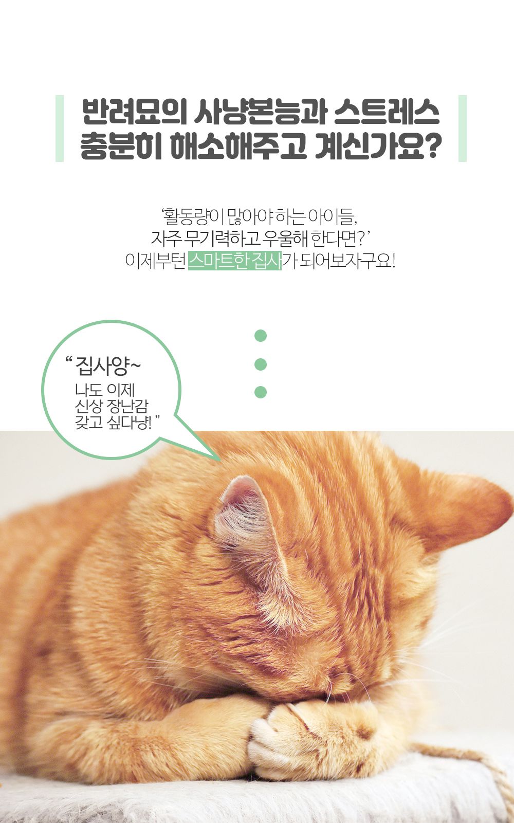 [무료배송] 네이처펫 냥냥이 2단 깃털 원목 낚시대 + 3단 밍크 낚시대 3번째