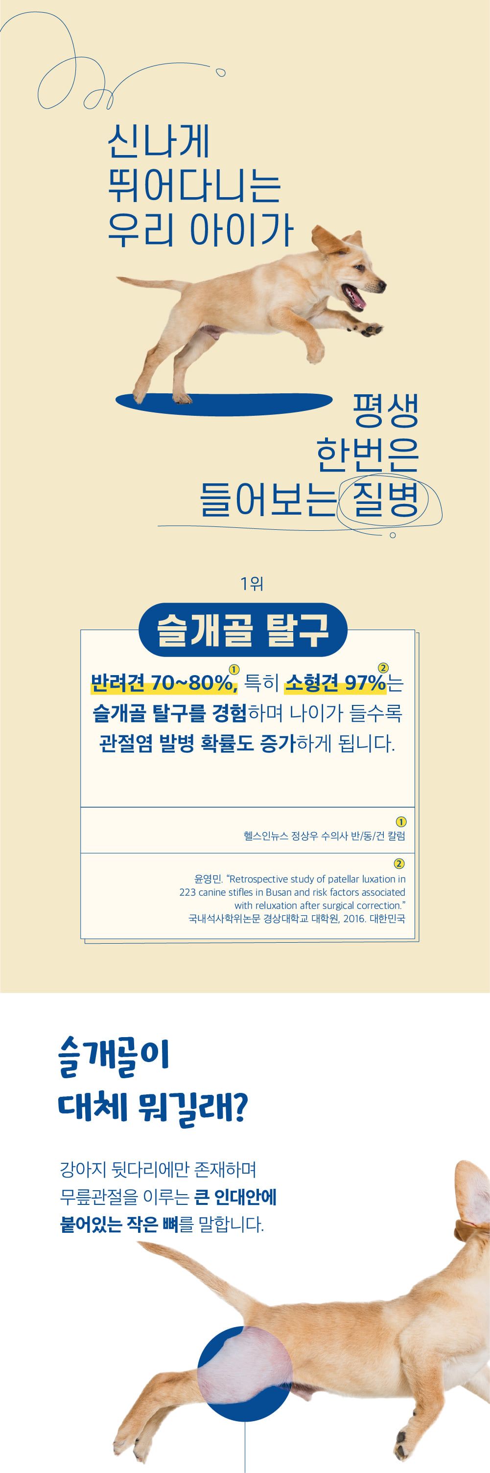 [유통기한임박, 25년10월4일] 마이베프 필랩 조인트업 60g 8번째