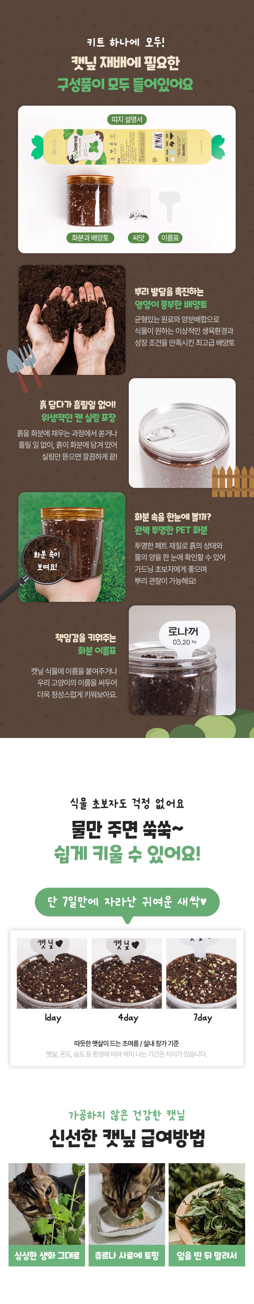 멍냥이랑 캣닢 재배 키트 3번째