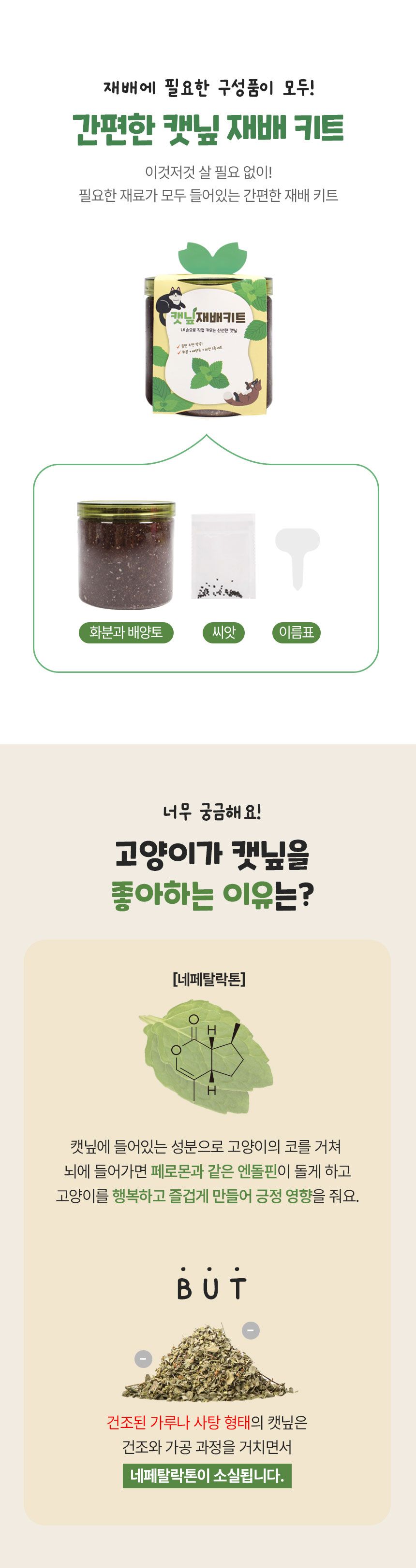 멍냥이랑 캣닢 재배 키트 1번째
