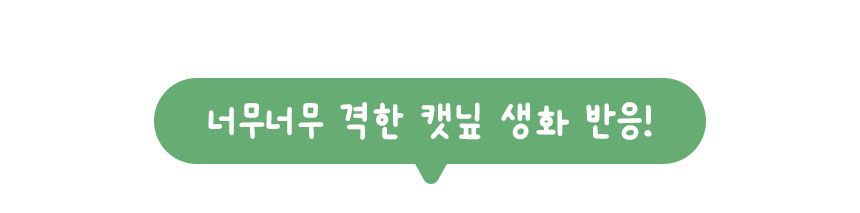 멍냥이랑 캣닢 재배 키트 7번째