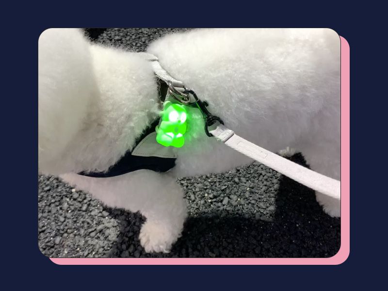 [창고대방출] 바잇미 젤리곰 LED 충전식 블링커 메론 3번째