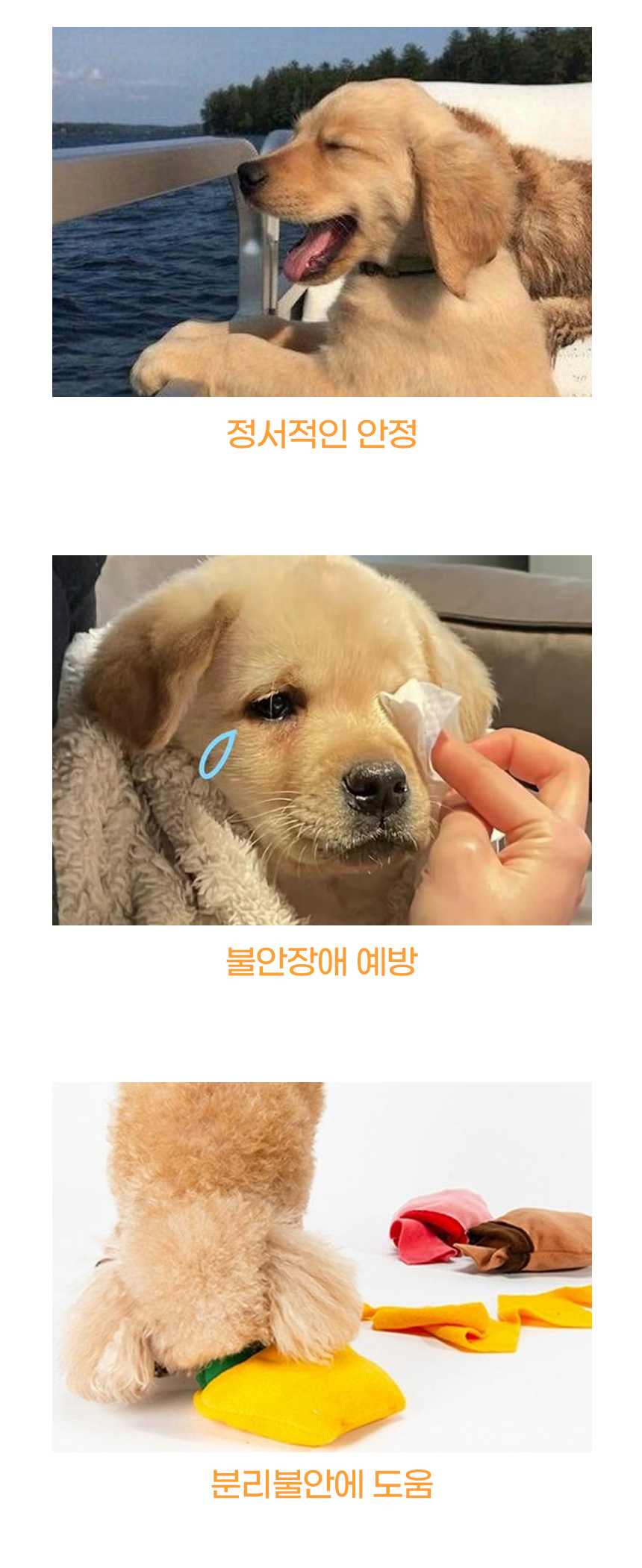 [NEW신상][무료배송] 개과천선 큐티 래빗 하우스 (캬라멜/그레이) 6번째