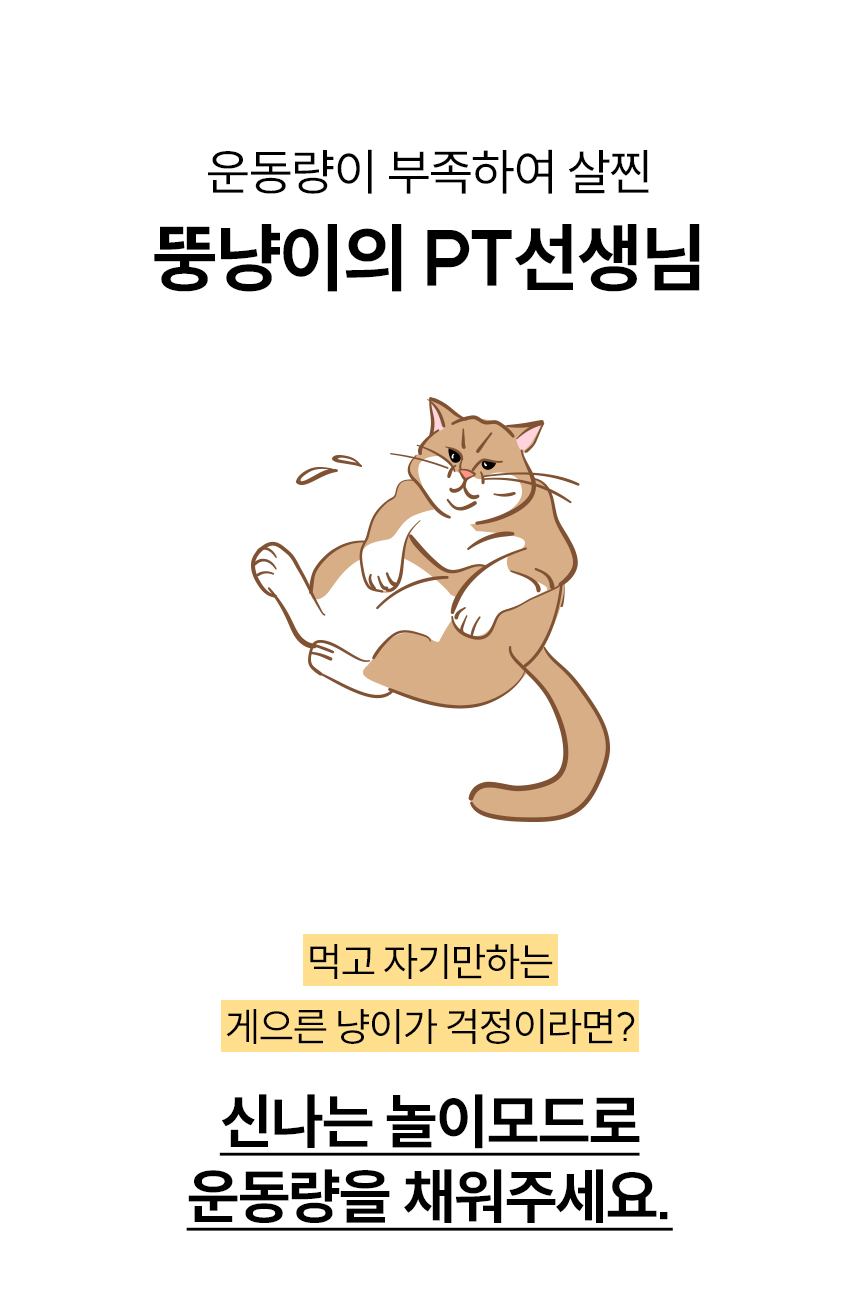 [무료배송] 헤이홈 고양이 장난감 자동 사냥놀이 꼬리잡기 21번째