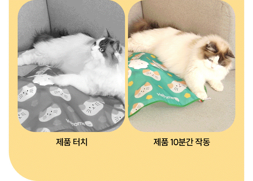 [무료배송] 헤이홈 고양이 장난감 자동 사냥놀이 꼬리잡기 16번째