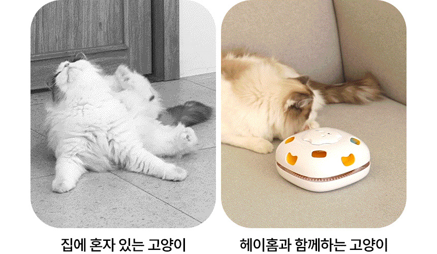 [무료배송] 헤이홈 고양이 장난감 자동 사냥놀이 꼬리잡기 10번째