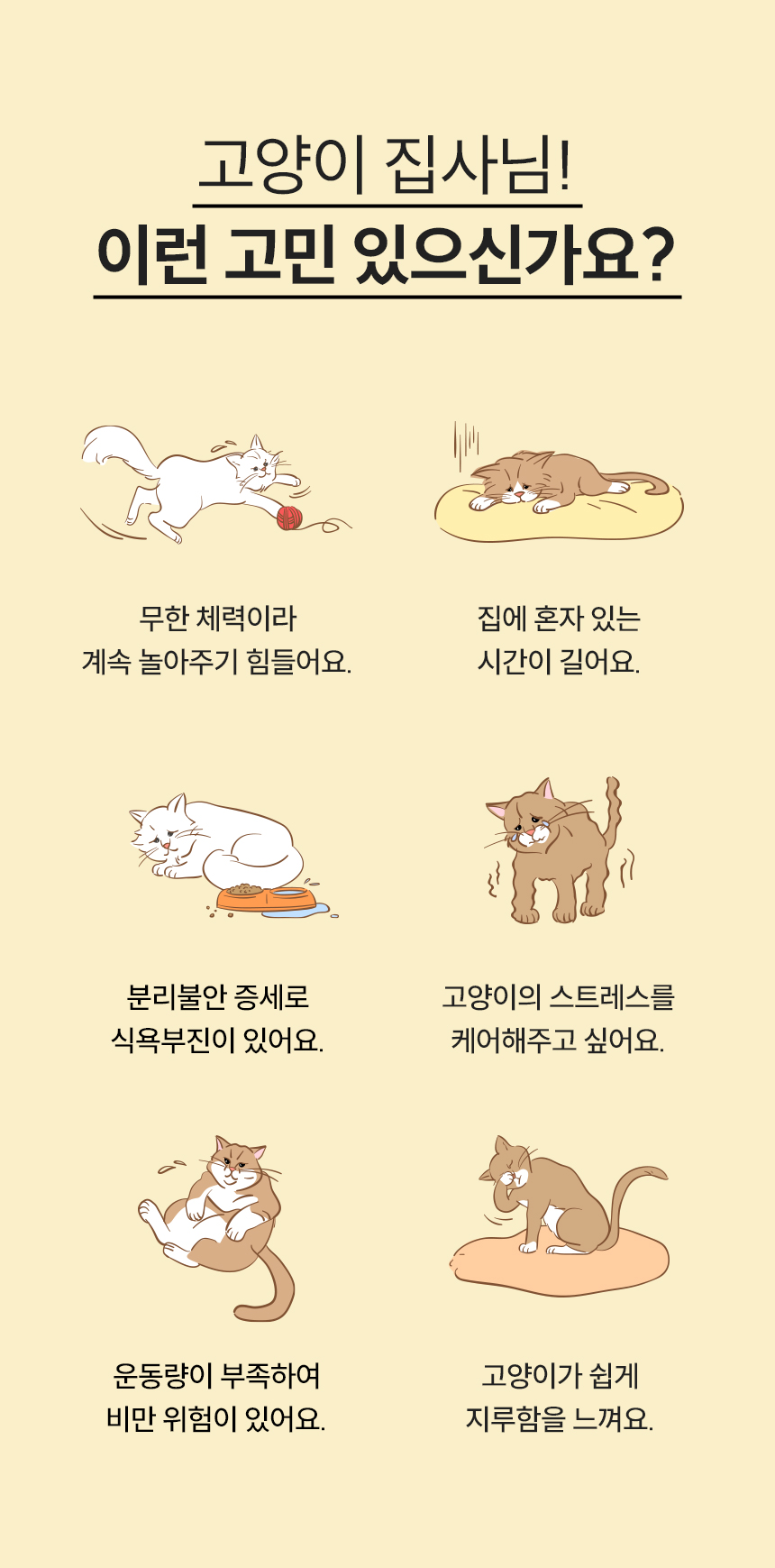 [무료배송] 헤이홈 고양이 장난감 자동 사냥놀이 꼬리잡기 6번째