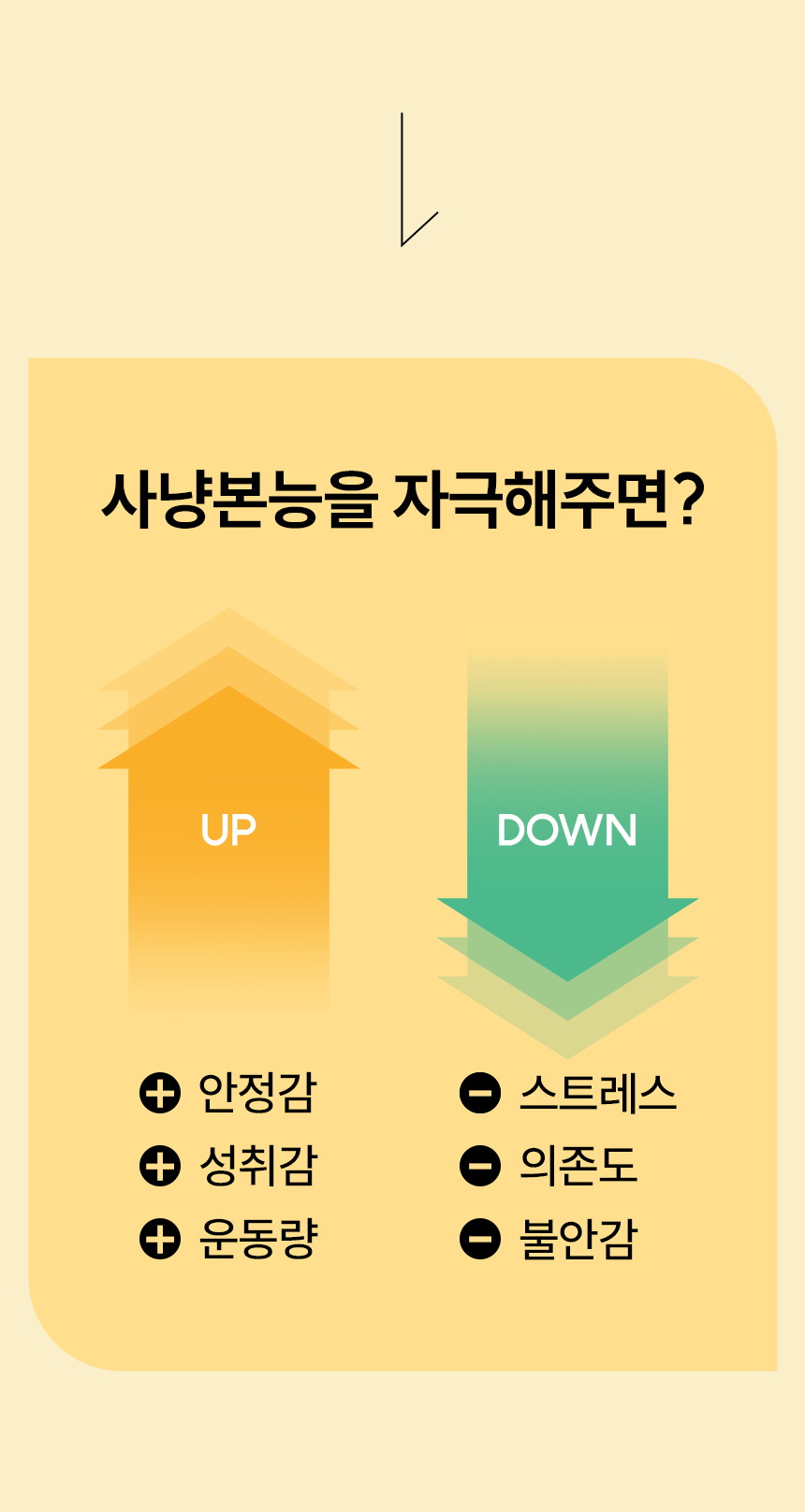 [무료배송] 헤이홈 고양이 장난감 자동 사냥놀이 꼬리잡기 20번째