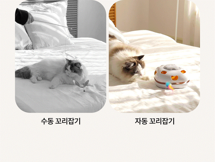 [무료배송] 헤이홈 고양이 장난감 자동 사냥놀이 꼬리잡기 8번째