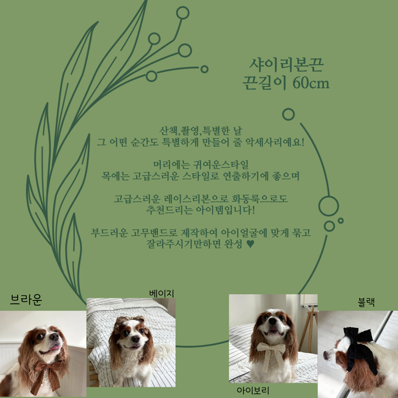 [NEW신상][무료배송] 해피댕댕 샤이리본끈 4종 (블랙,아이보리,브라운,베이지) 2번째