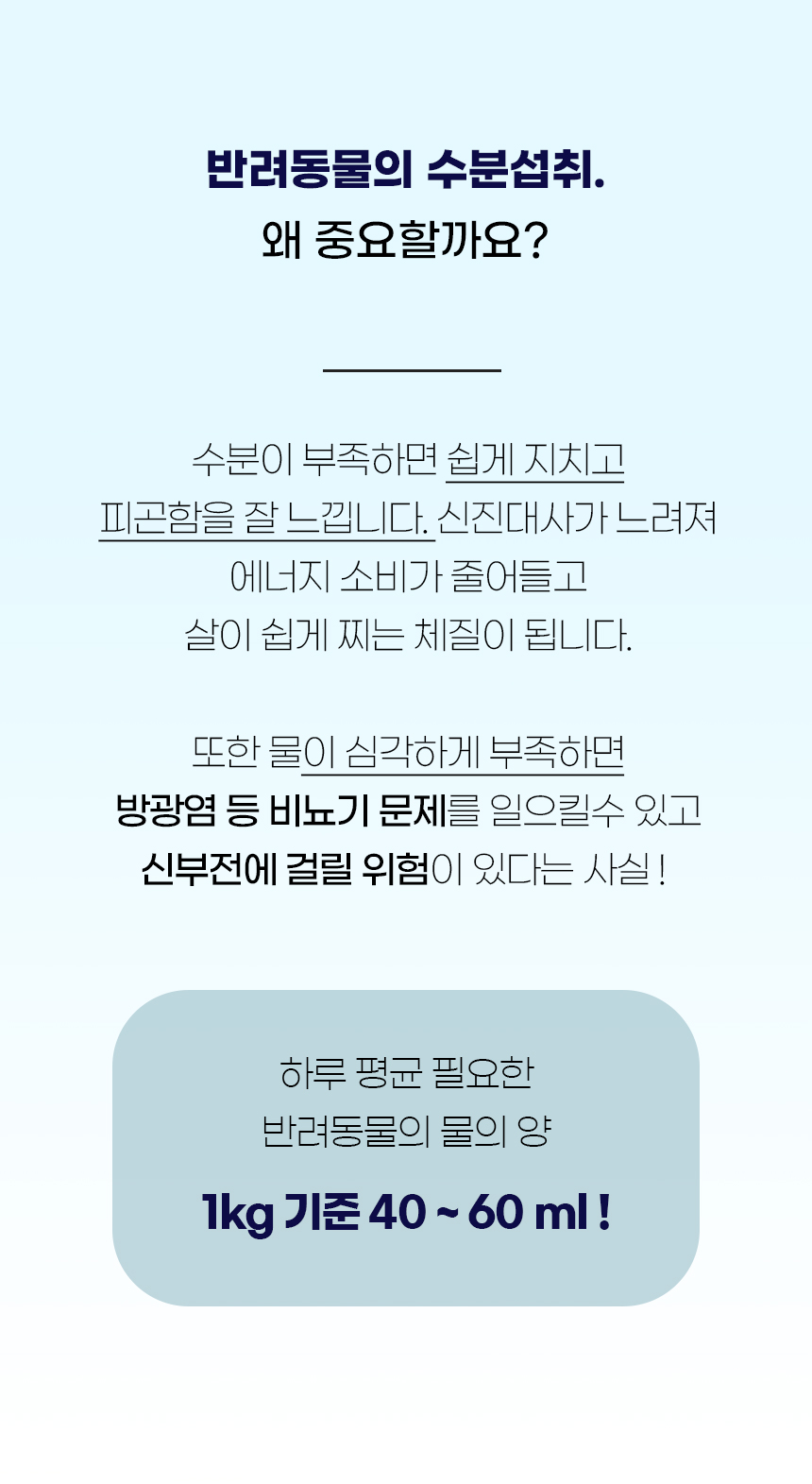 [NEW신상][무료배송] 개과천선 케이드 휴대용 물병 (350ml/600ml) 3번째