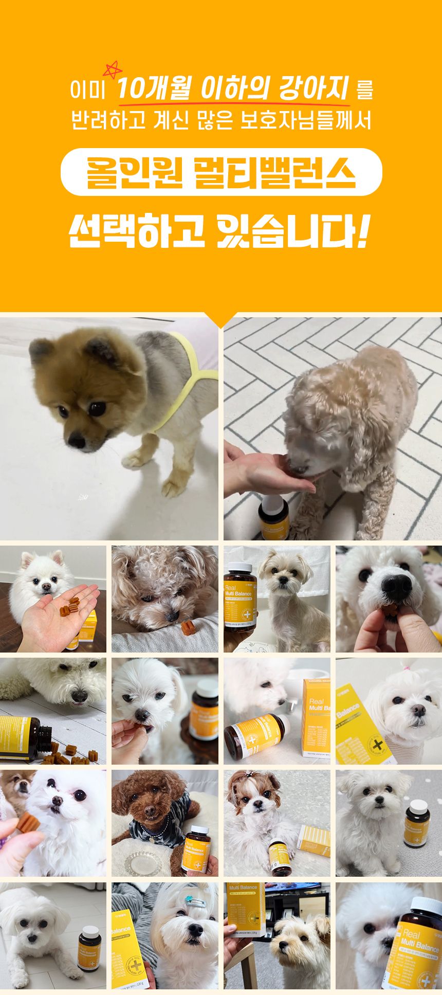 [심쿵펫페어]펫생각 독 데일리케얼 슈퍼리얼 올인원 멀티 밸런스 120g  2번째