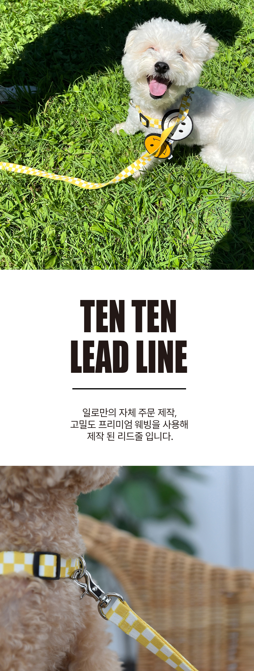 [무료배송] iLLO 텐텐 리드줄 옐로우 1번째