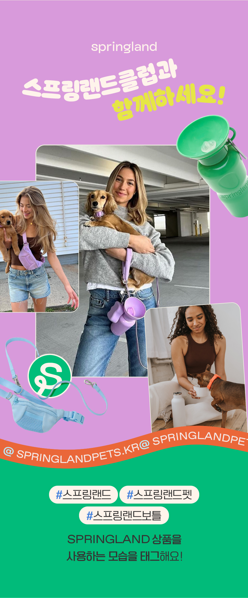 [무료배송] 스프링랜드 독 휴대용 간식 파우치 (블루베리/오트) 22번째