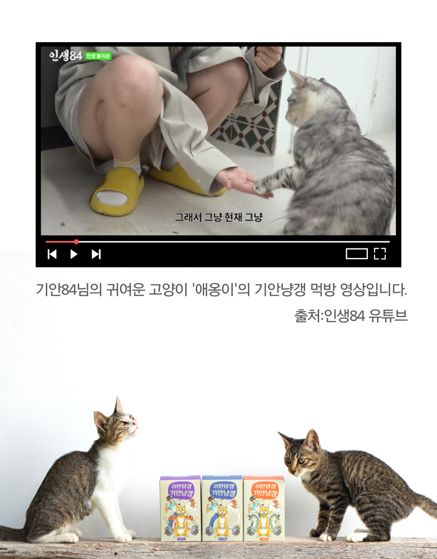 [무료배송] 기안냥갱 짜먹는 동물복지 닭가슴살 8g*30p 8번째