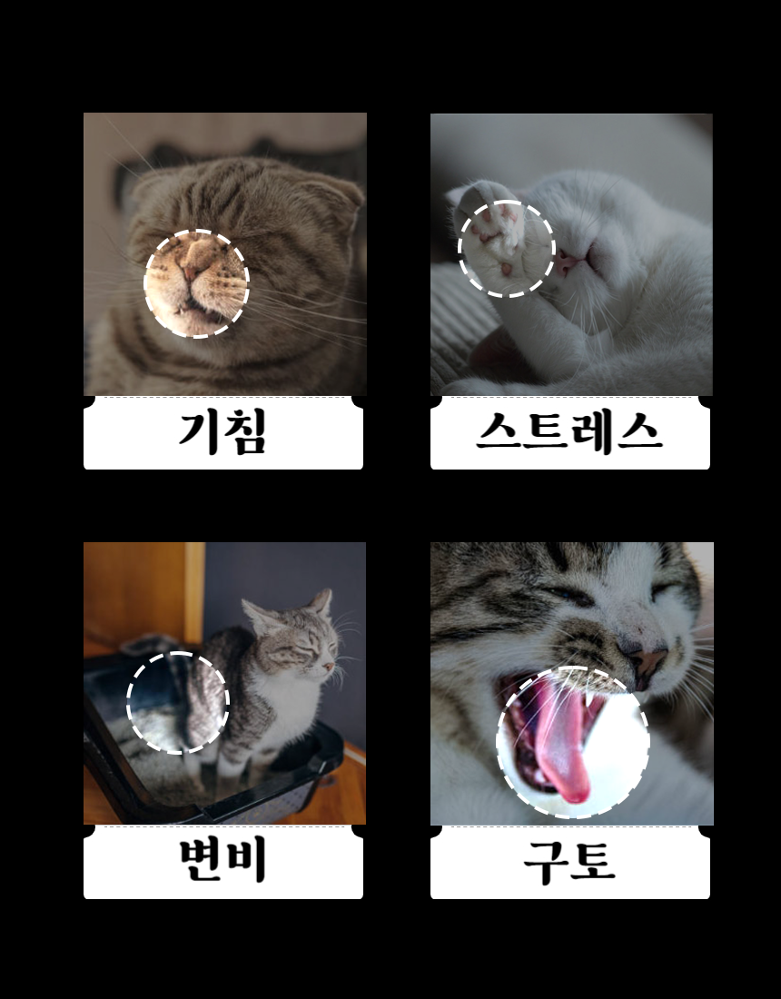 [무료배송] 기안냥갱 짜먹는 동물복지 닭가슴살 8g*30p 12번째