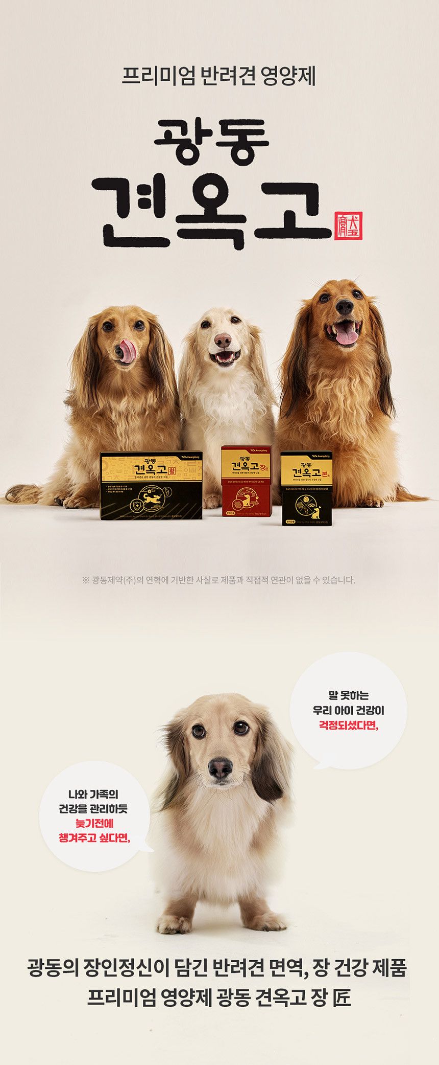 광동제약 독 광동 견옥고 장 장 건강 츄르 30p 2번째