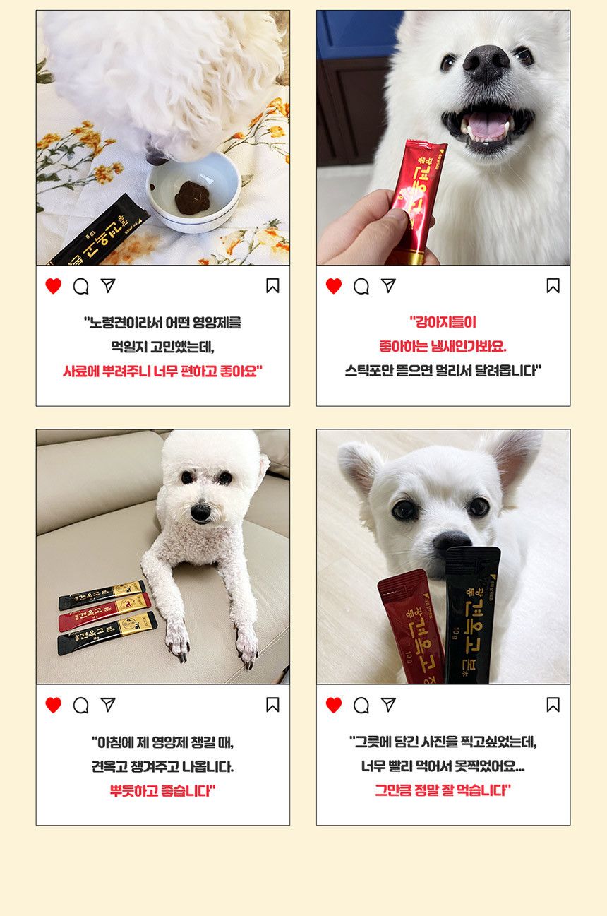 광동제약 독 광동 견옥고 장 장 건강 츄르 30p 6번째