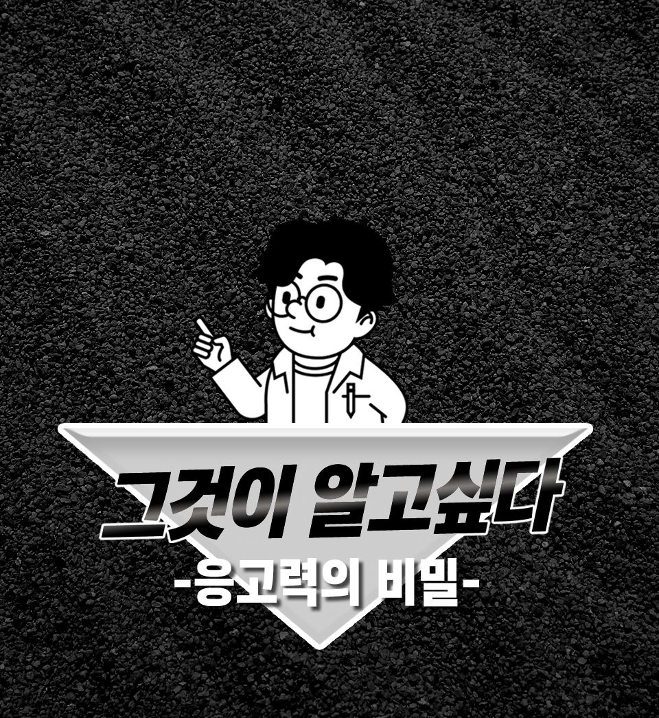 ㅁㅊ모래 6.3kg, 3개 3번째