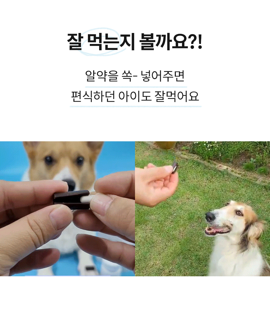[무료배송] 본아페티 필포켓 간식 100g 8번째