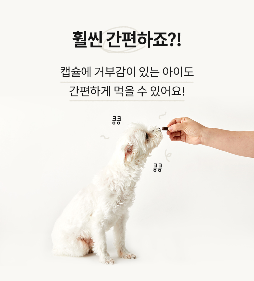 [무료배송] 본아페티 필포켓 간식 100g 7번째