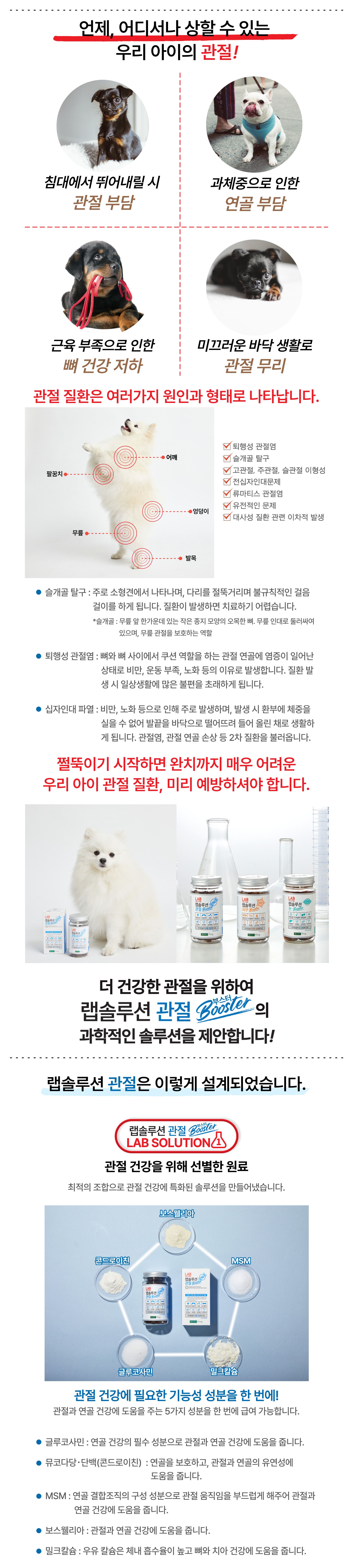 [체험단] 건국대학교 건국유업 독 랩솔루션 관절 영양제 90정 2번째