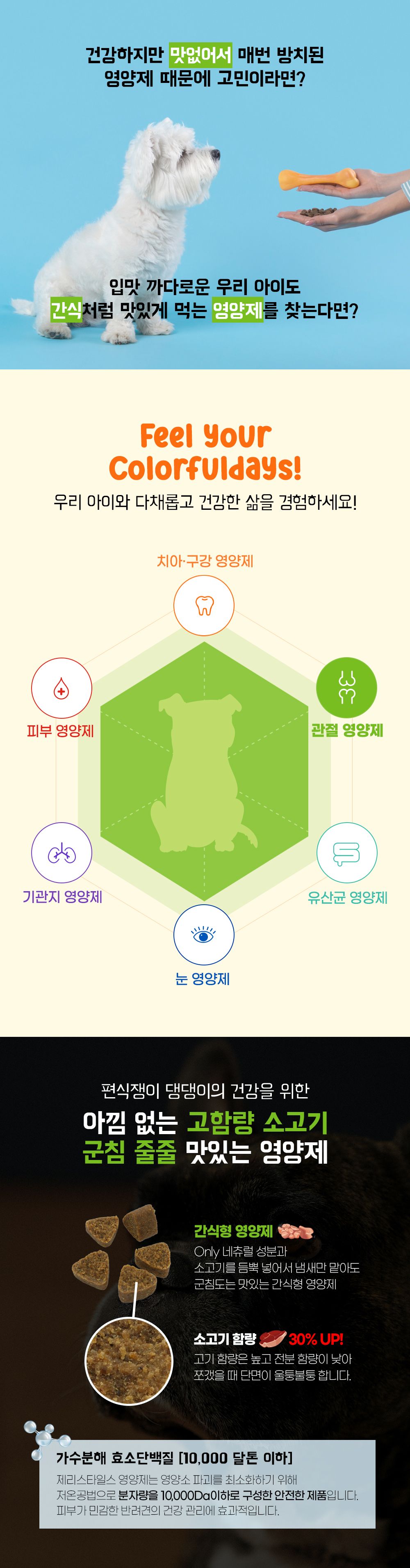 제리스타일스 독 관절 영양제 153g 3번째