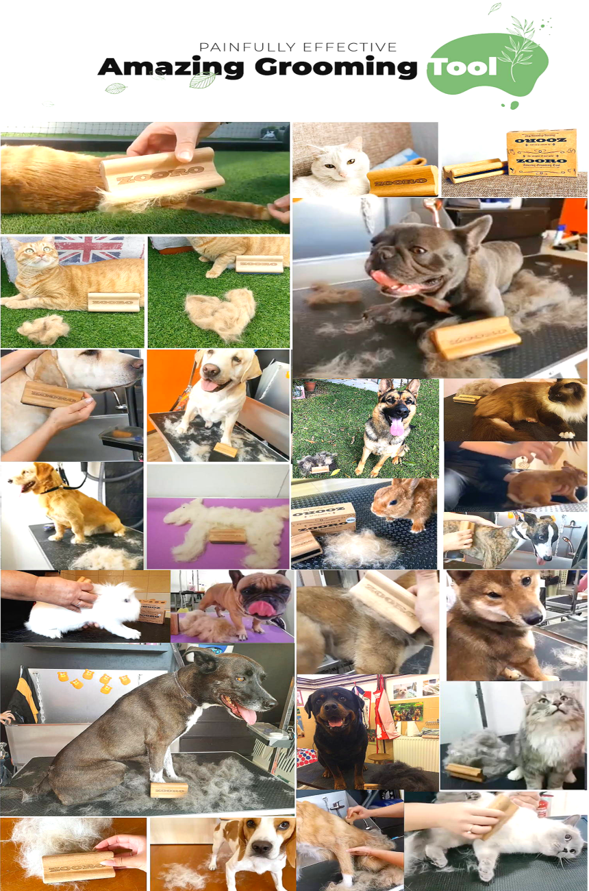 [NEW신상][무료배송] ZOORO 주로 그루밍 브러쉬 3종 4번째