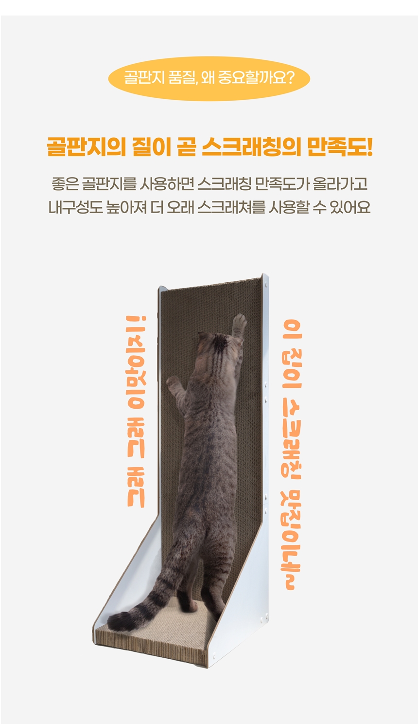 [무료배송] 100cm 초대형 올데이 고양이 수직 스크래쳐 11번째