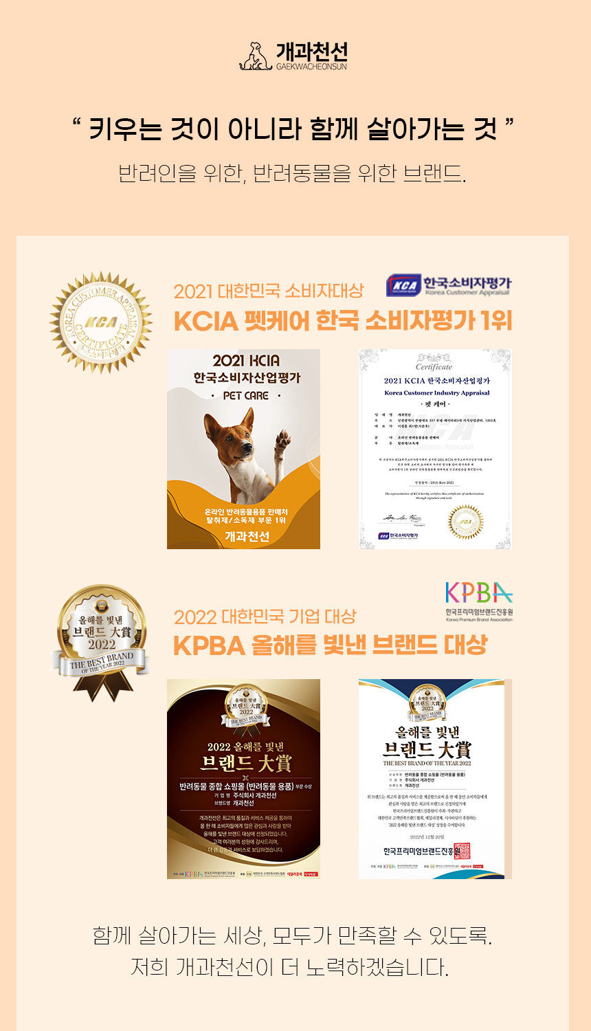 [NEW신상][무료배송] 개과천선 툼툼 쿠션 (체크 레드/체크 그레이/체크 베이지) 3번째