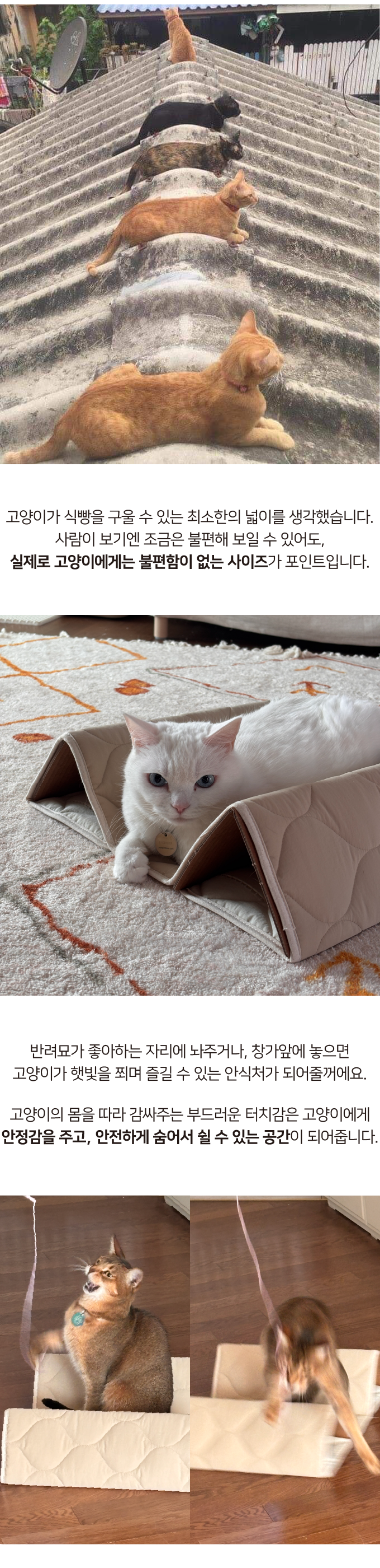 [NEW신상]집에가야돼 지붕 위 고양이 2번째