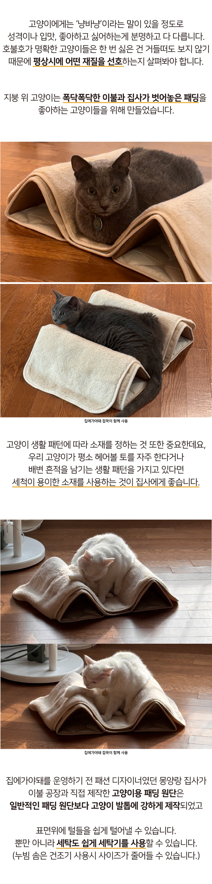 [NEW신상]집에가야돼 지붕 위 고양이 3번째