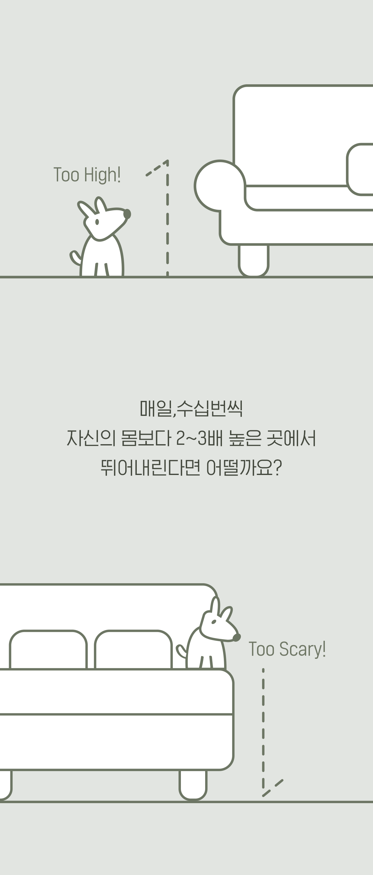 아르르 독 논슬립 계단 라벤더 L 4번째