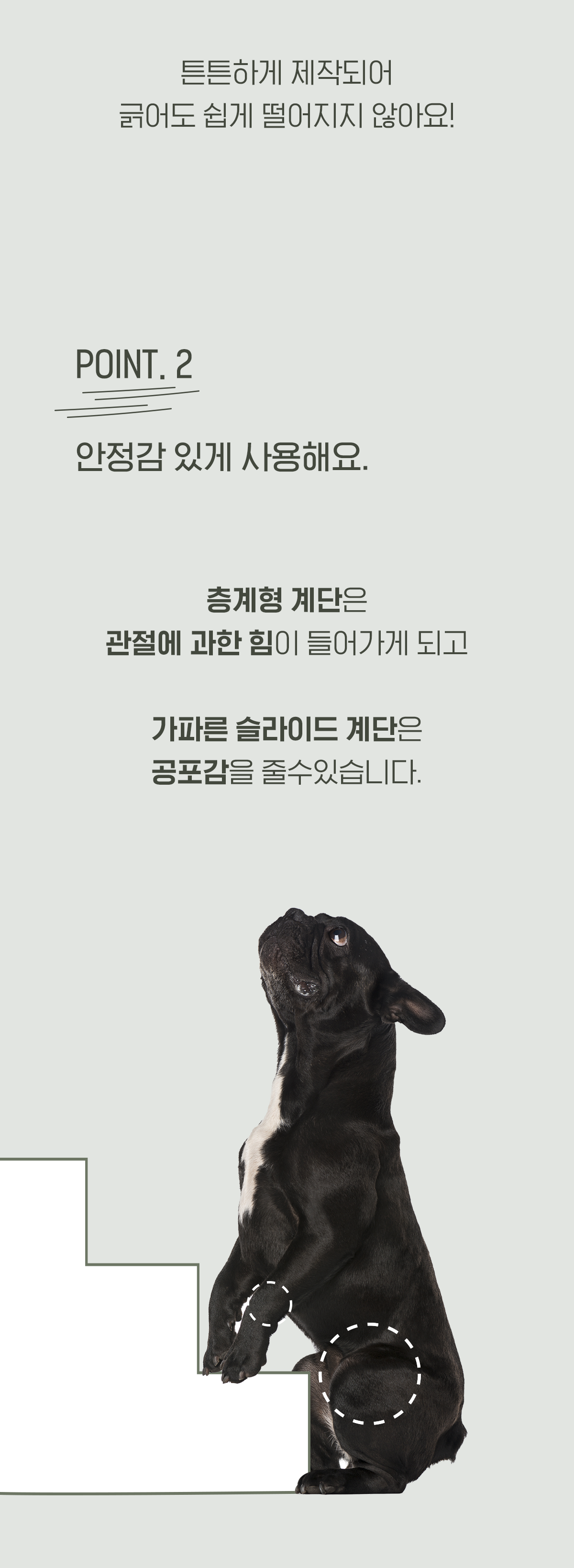 아르르 독 논슬립 계단 라벤더 L 14번째