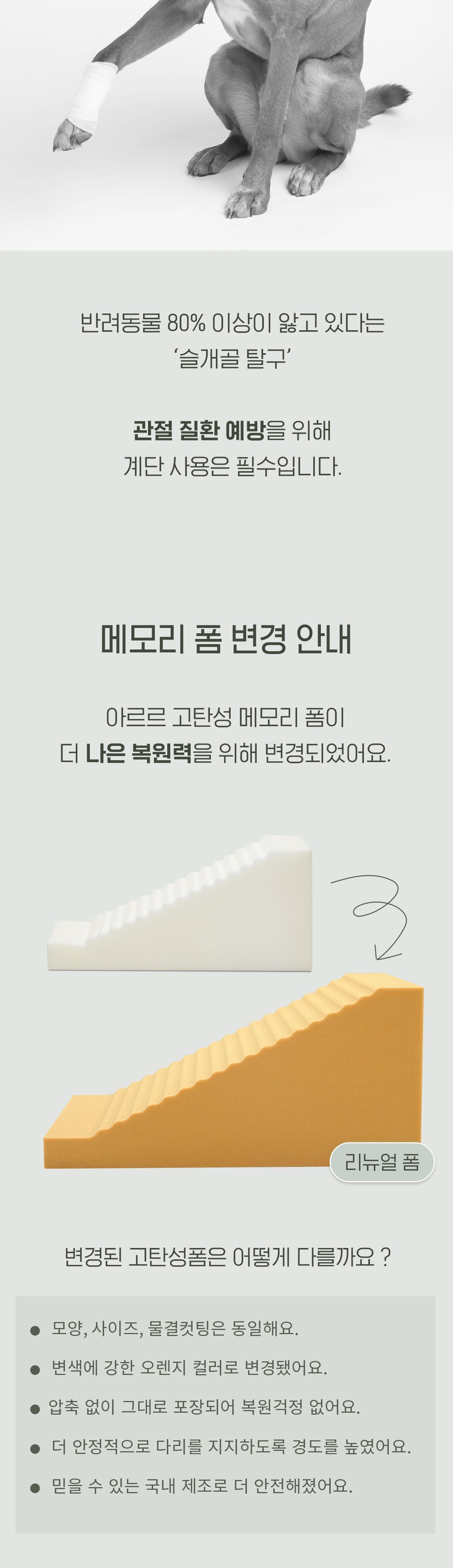 아르르 독 논슬립 계단 라벤더 L 5번째