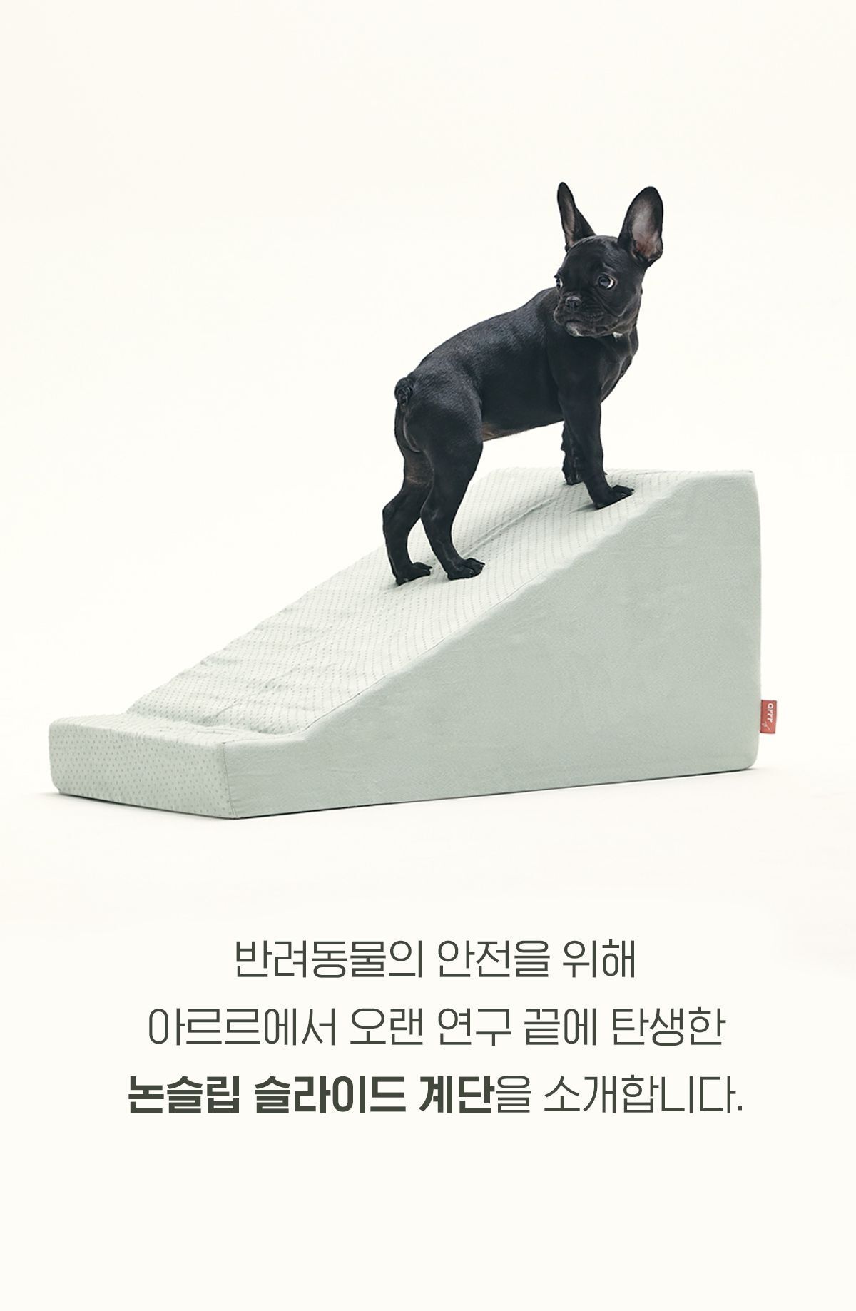 아르르 독 논슬립 계단 라벤더 L 7번째