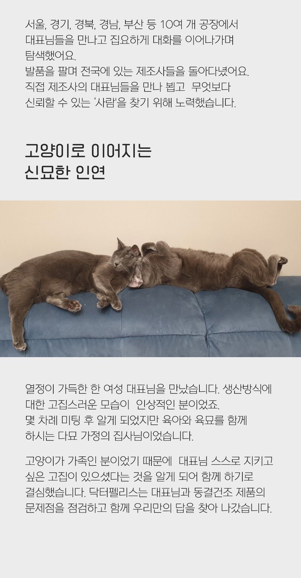 [NEW신상]닥터펠리스 포캣트릿 Raw 열빙어 동결건조 간식 25g 4번째