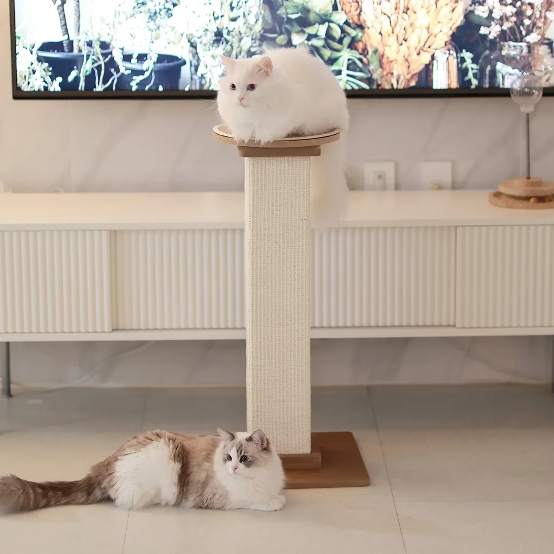 [무료배송] 아토주 파우제 수직 고양이 스크래쳐+원형 카페트 탑시트 세트