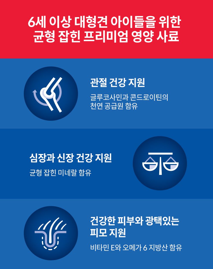 [심쿵펫페어][추가증정] 힐스 독 어덜트 6+ 라지브리드 치킨 12kg + 어덜트7+ 헬씨 퀴진 치킨 스튜 354g 증정 2번째