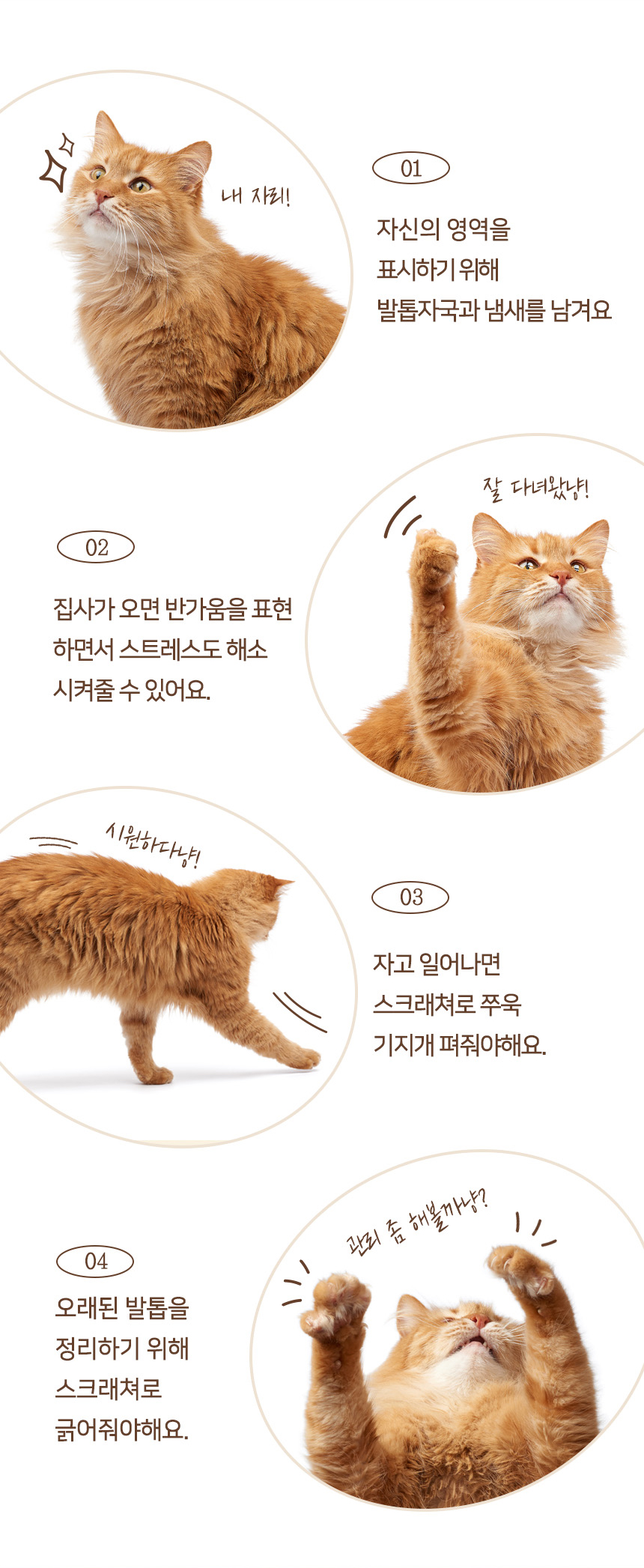 [무료배송] 펫토리아 GP 모빌 장난감 스탠드 스크래쳐 퍼플 4번째